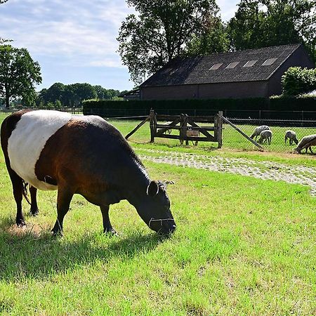 De Lakenvelder B&B Eersel Zewnętrze zdjęcie