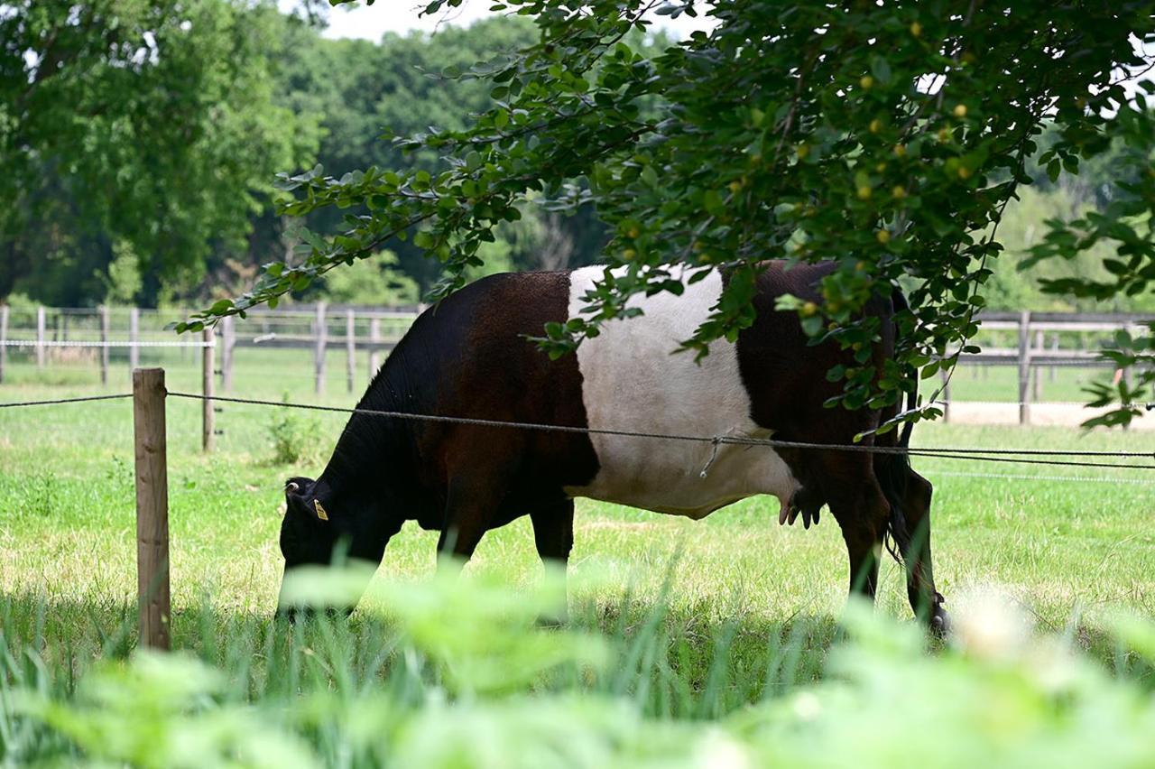 De Lakenvelder B&B Eersel Zewnętrze zdjęcie