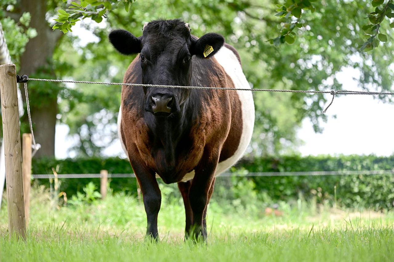 De Lakenvelder B&B Eersel Zewnętrze zdjęcie